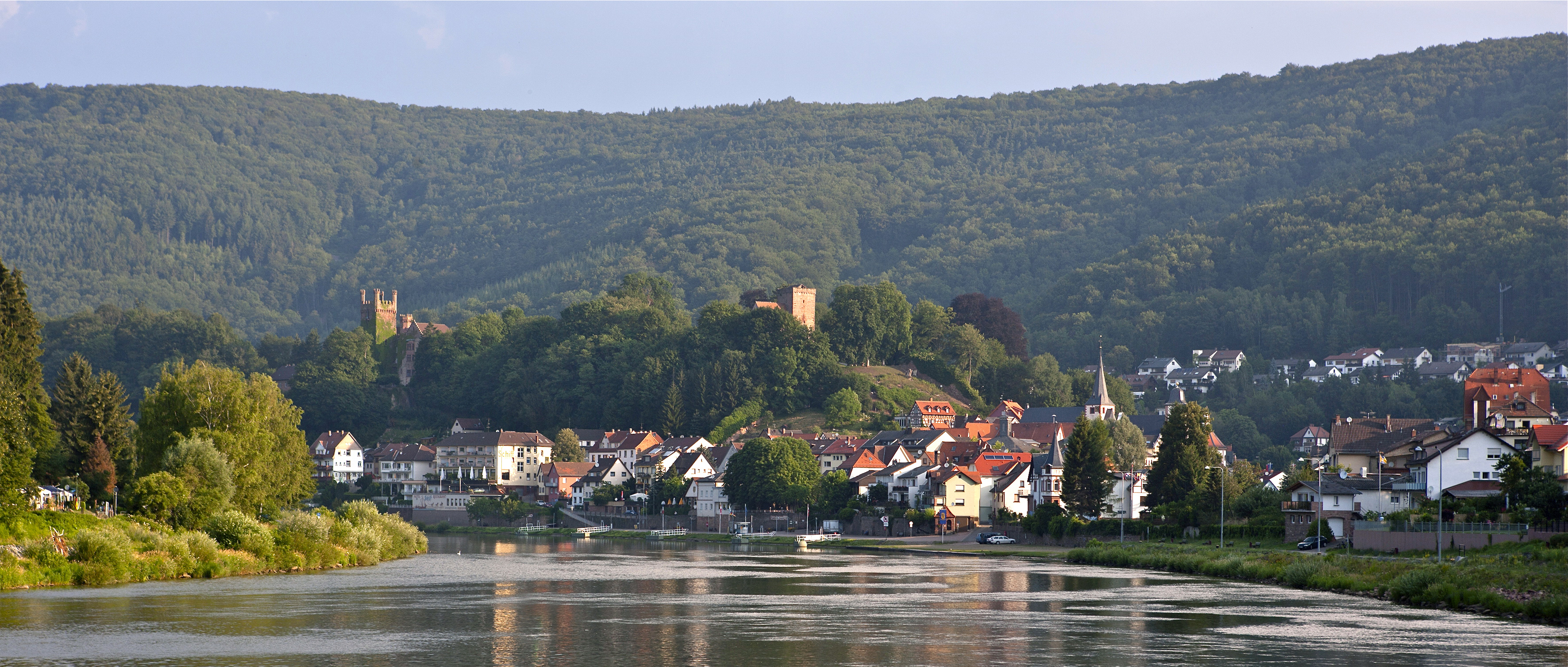 Crucero fluvial por el Rhin clásico