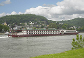 Crucero fluvial por el Danubio