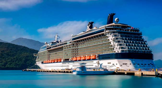 Celebrity Silhouette