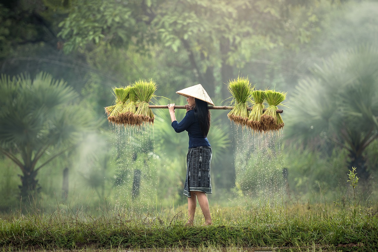 Itinerario de Vietnam, Camboya y Tailandia