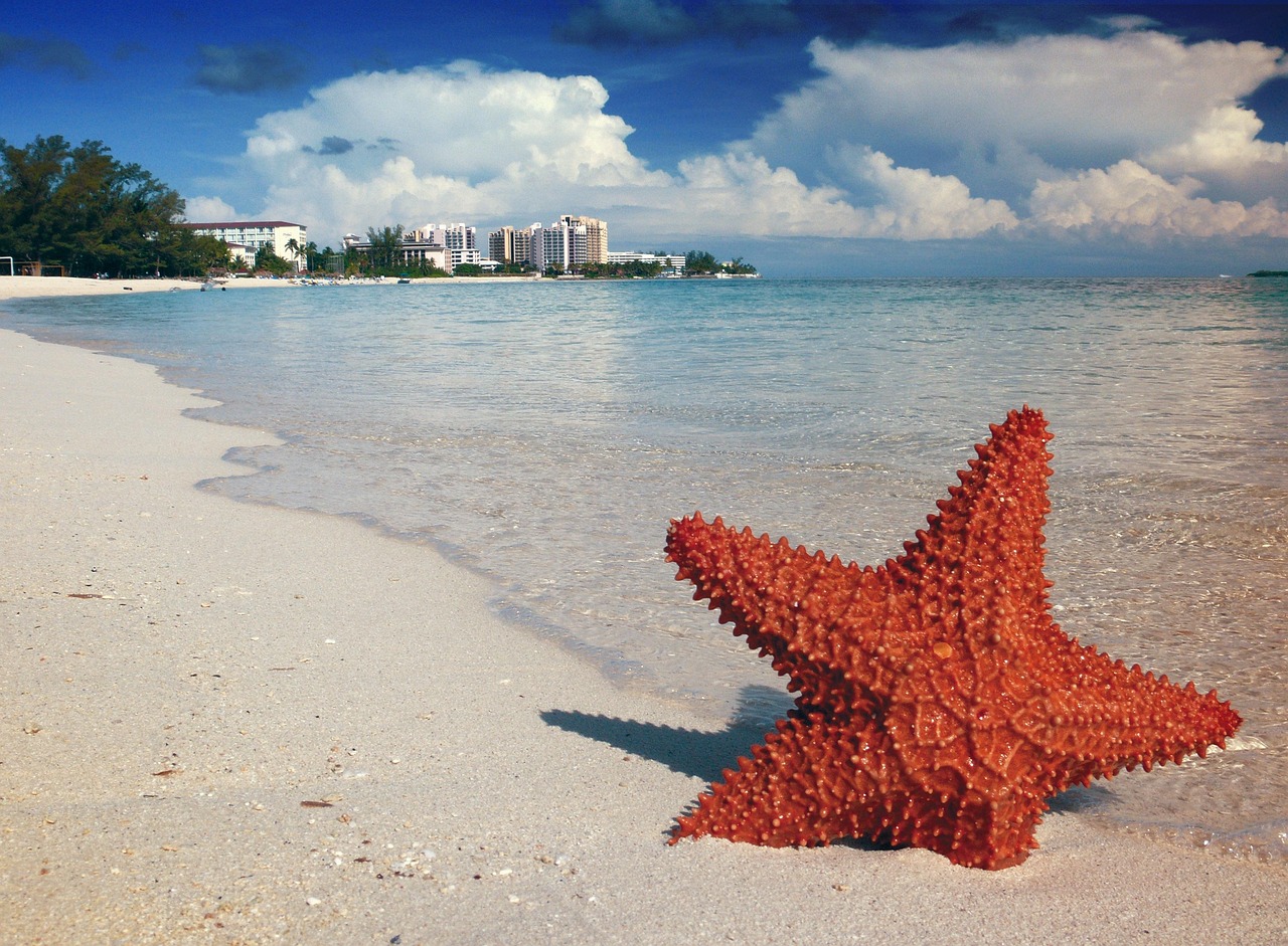 Itinerario de Miami, Gran Turca (y regreso)